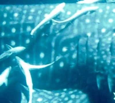 ecbb527e-1389-446f-b3d1-011c3595cae6