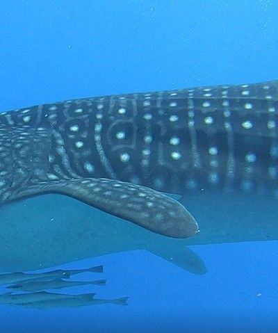 ecbb527e-1389-446f-b3d1-011c3595cae6