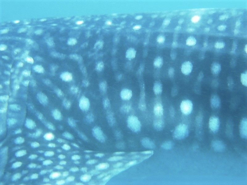 cbb666d4-2f3c-4d58-b84f-b15c852139c3