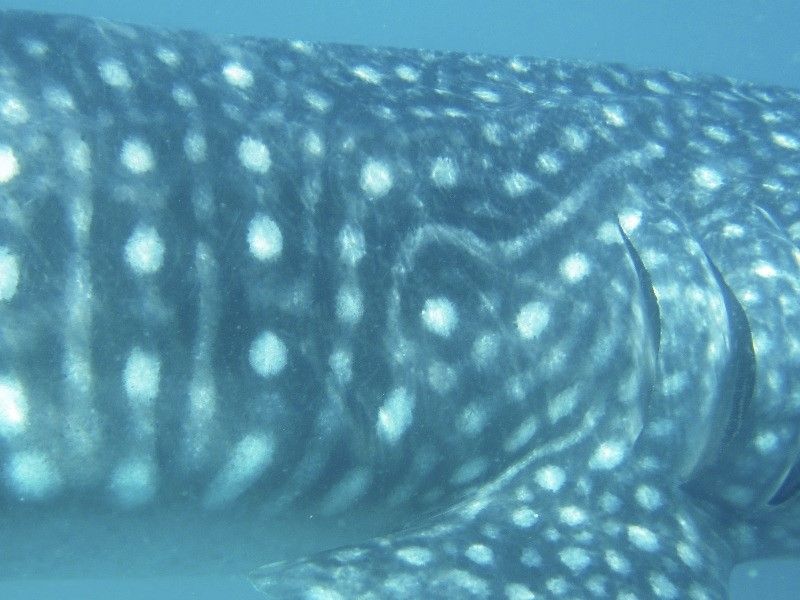 cbb666d4-2f3c-4d58-b84f-b15c852139c3