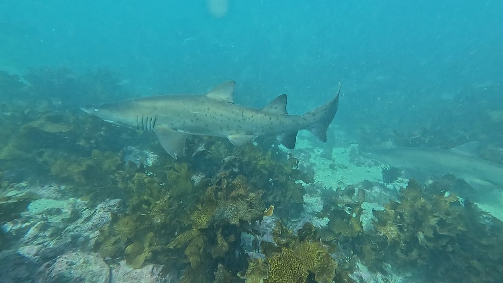 b93f6d89-ab78-48b1-85cd-6fa28f205f7c