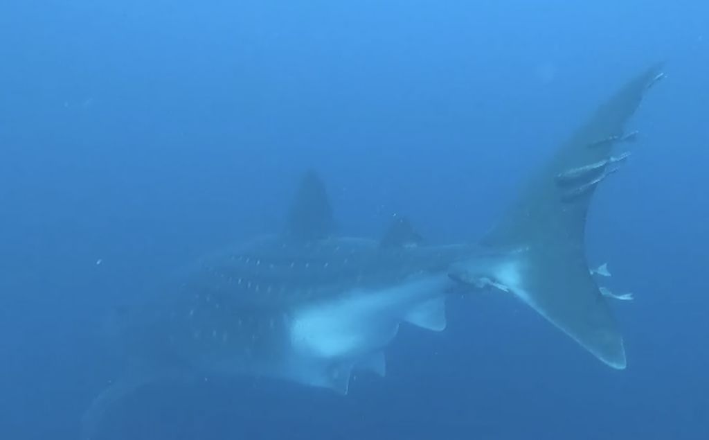 b34d4616-dd5e-4e56-ba95-e21a794f5fcd