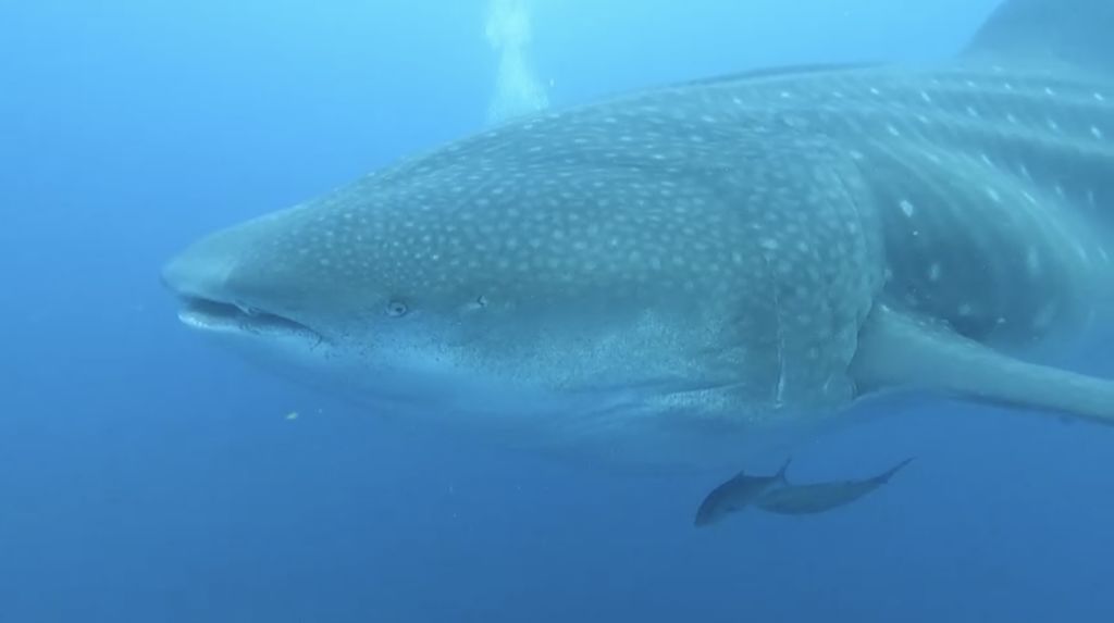 b34d4616-dd5e-4e56-ba95-e21a794f5fcd