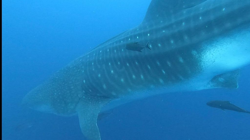 b34d4616-dd5e-4e56-ba95-e21a794f5fcd