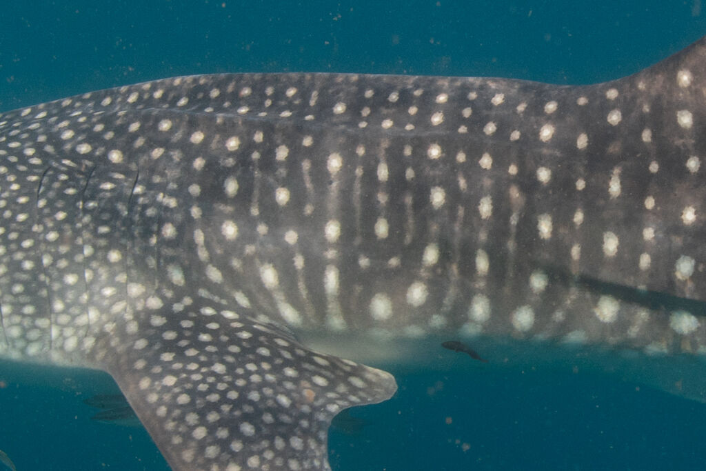 2991634f-7fe6-43f7-a162-b7a19bf9863f