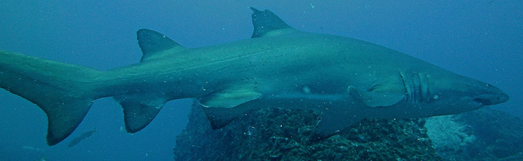 27ee1bf8-e2db-4e3d-ad14-2d82d4387583