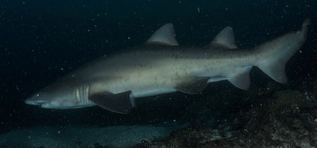 edb525ee-179b-457b-b504-891236562908