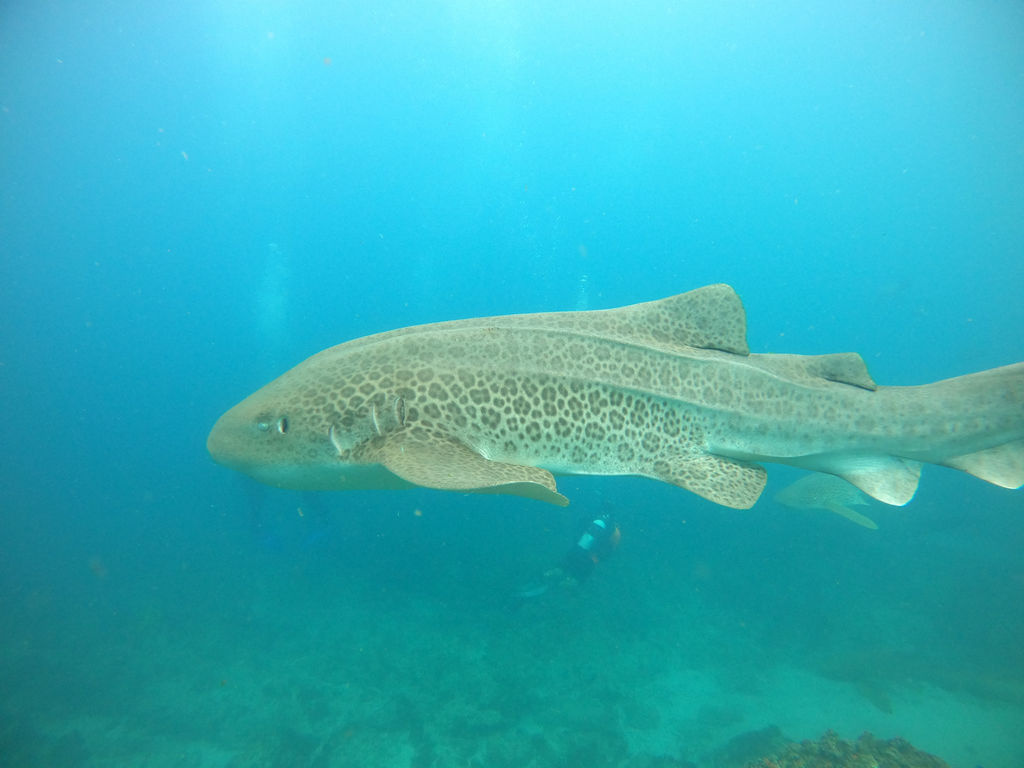 63a2f205-8804-4fcd-a2b2-41aa04b8f245