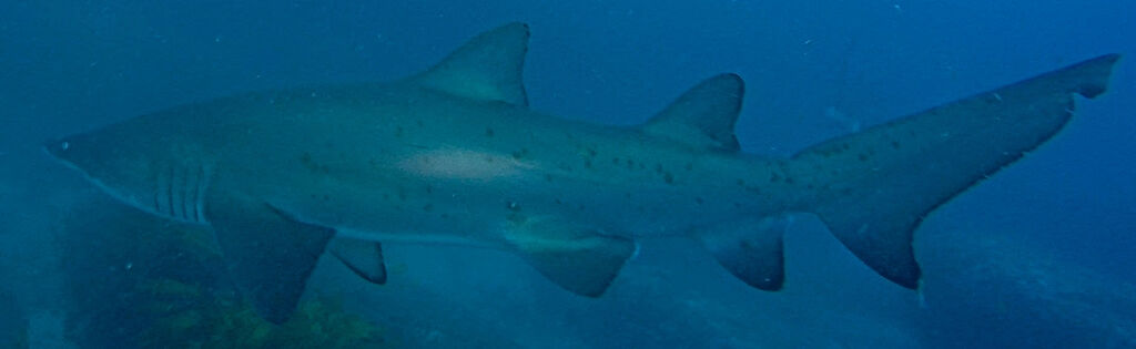 d3d97800-043a-41d2-848c-12a80f29ce0a