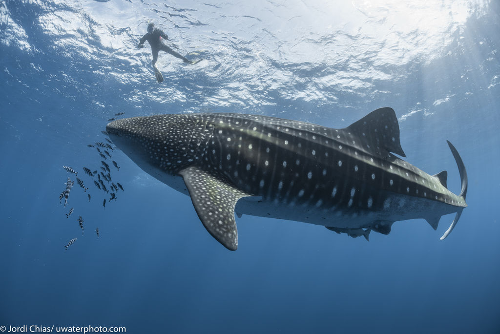 f7f8c593-23a4-41ac-adab-142fb9015e67