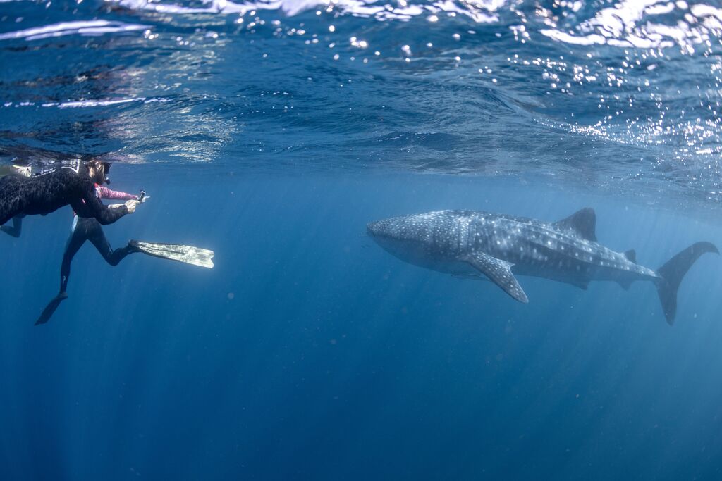 bee4aaa8-2a61-413d-aa24-e241ed680bd7