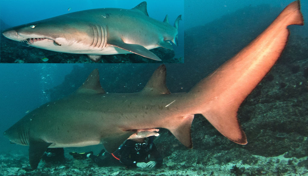 6c8df6e8-e5b3-41f8-a326-b0024df8f9e8