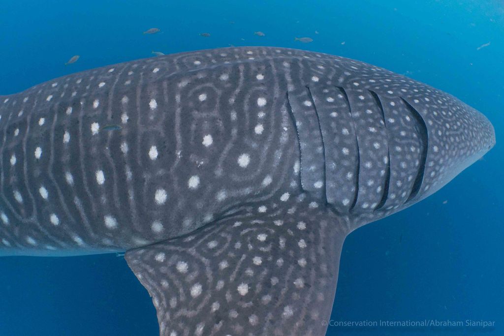 0ca01899-5820-4f46-9ff0-26bcbd1f6eb8