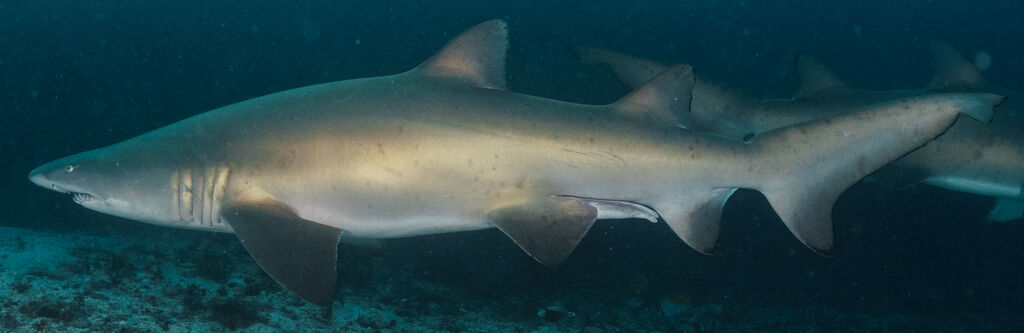 d66c393a-aea8-469b-8bac-8e1931467234