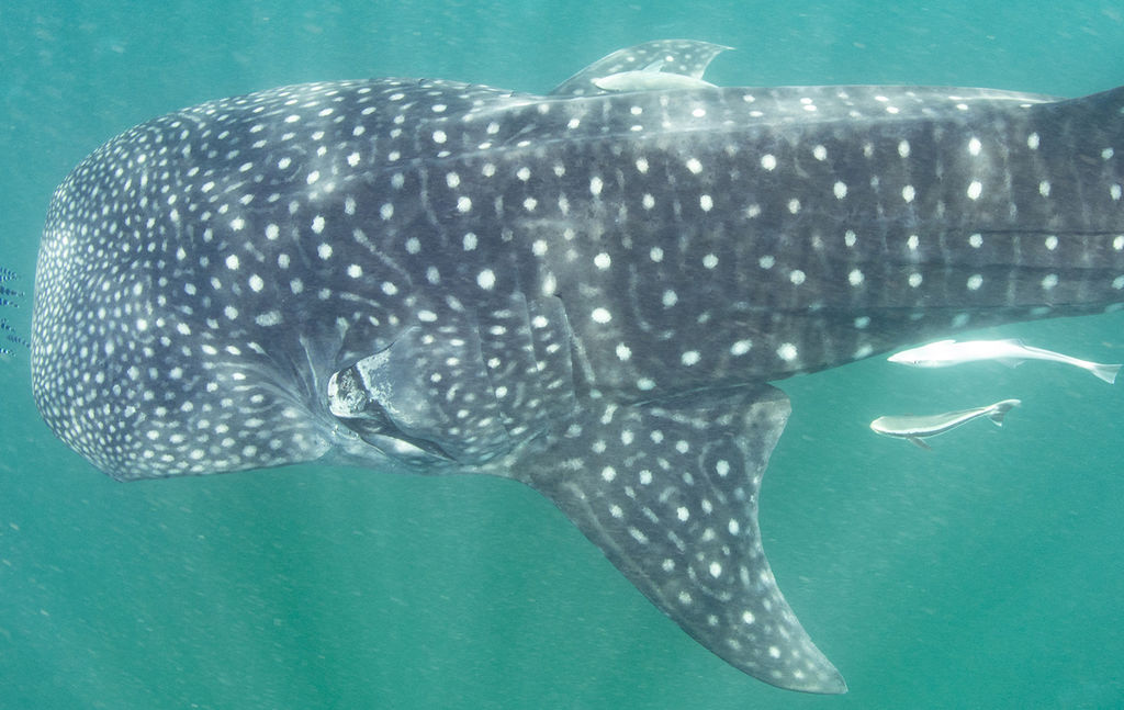 0ebdb878-6c44-4ded-a249-adb5ff998f1f