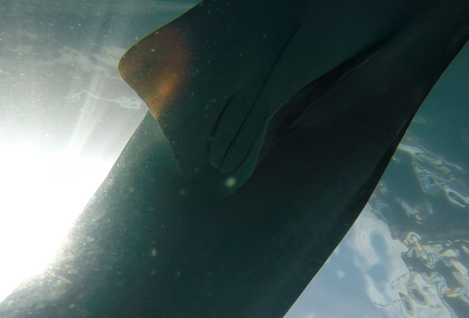 5369baff-540c-4a73-aa70-8ac248c3125e