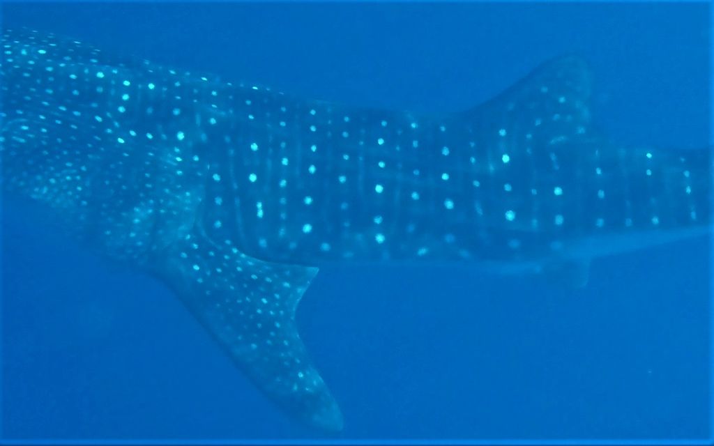 215a07d7-01b9-431d-93cb-ba60f4a7e378