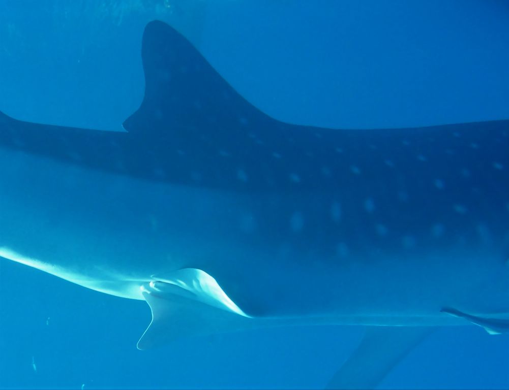 215a07d7-01b9-431d-93cb-ba60f4a7e378