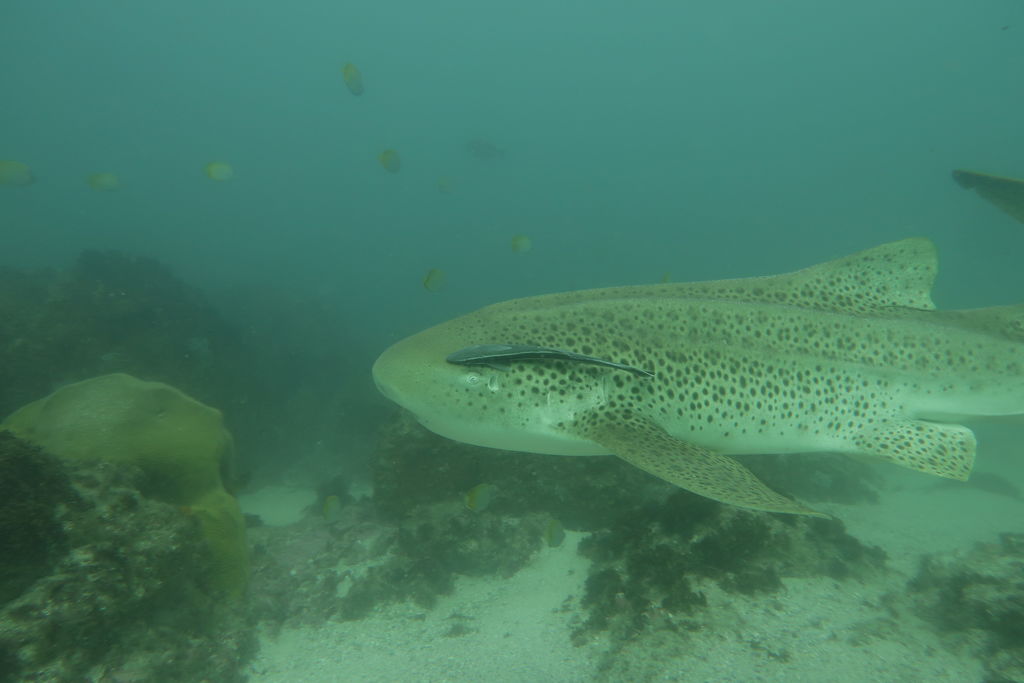 844d9906-4e48-4e70-86ed-e392cd214d7d