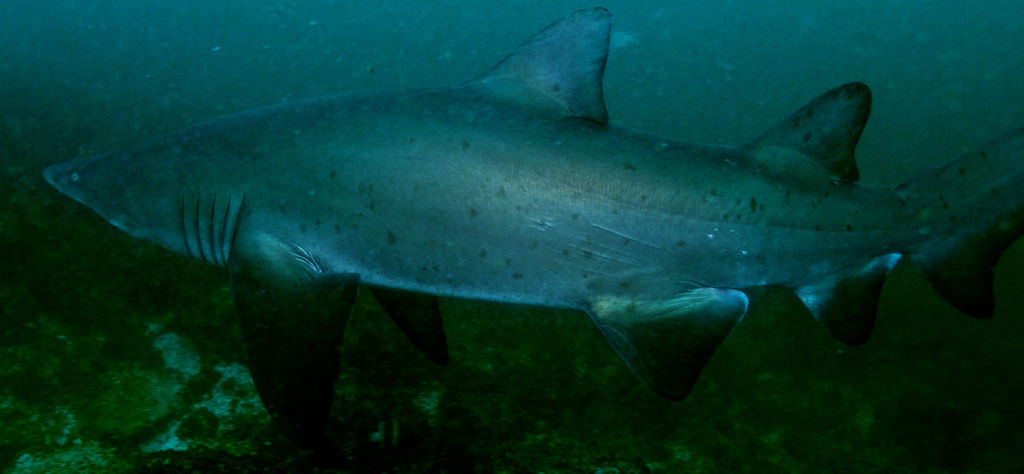 9c0c4f11-5cc0-489b-a230-1bfee5603016