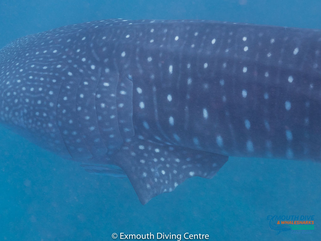 5e49100d-2fcf-4366-971c-6e5bd6120b2a