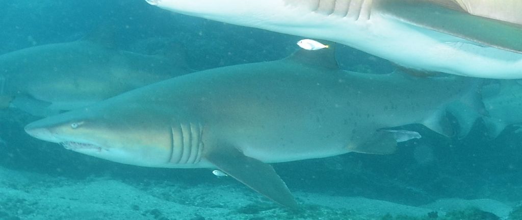 81a6c22a-4765-48f9-b0a1-61609c770a5e