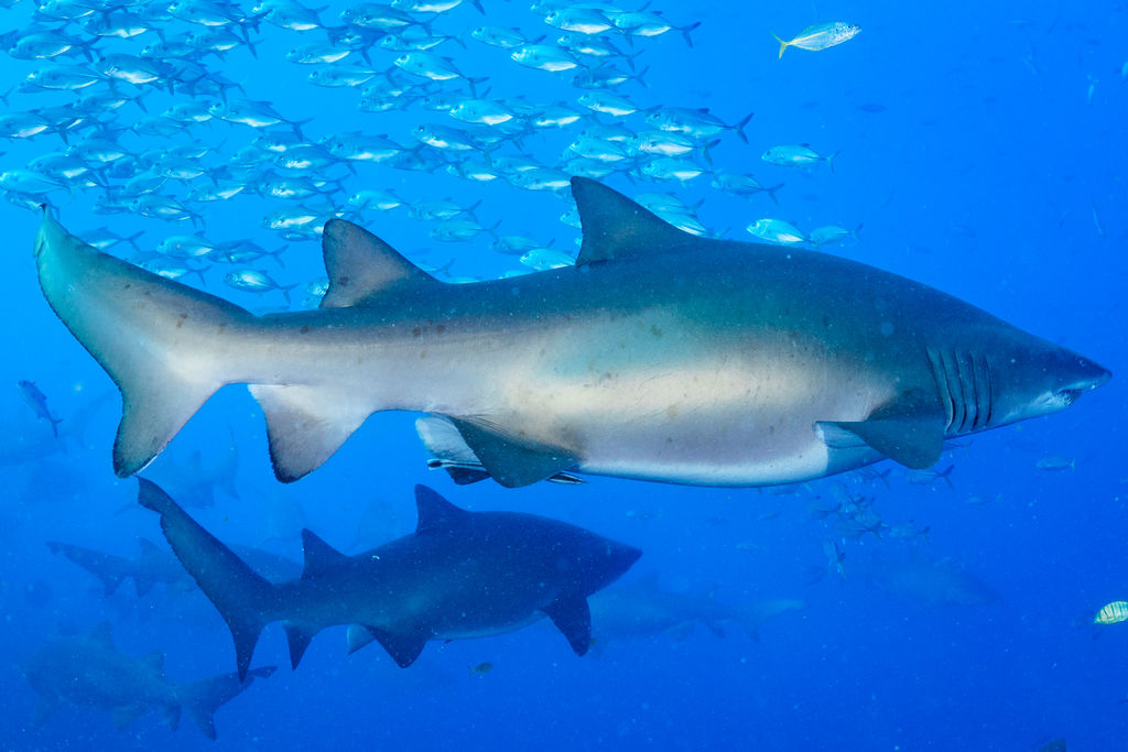 7639a2ce-3b7a-4de5-be53-25bab87428bb