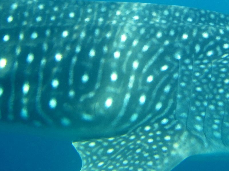 95b89793-d652-4598-9d6b-b301ed1a2a6f