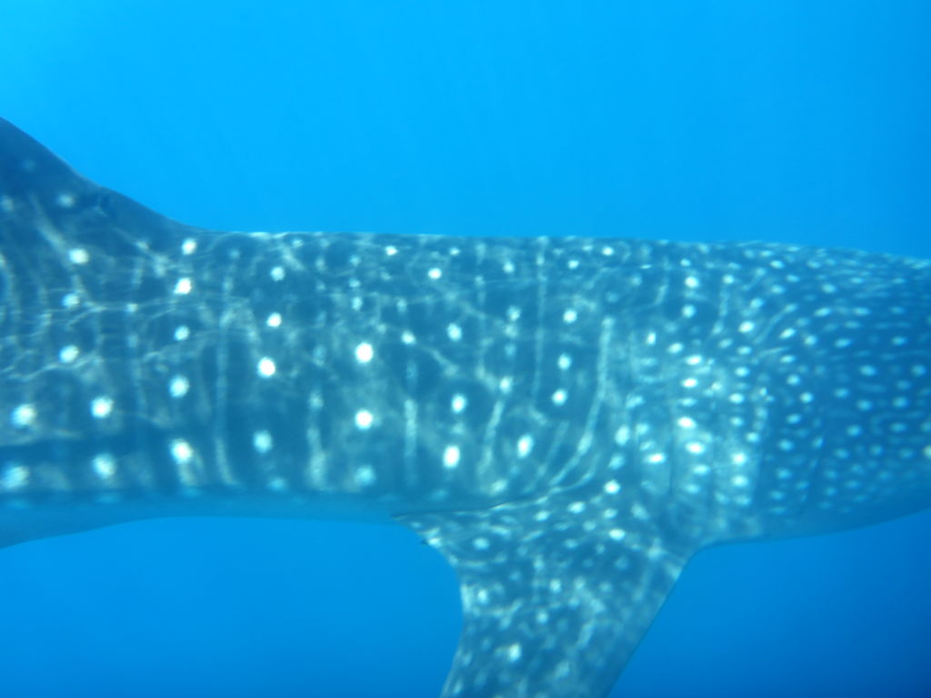 16a22d50-b149-49f6-a4a9-c8d53062ccde