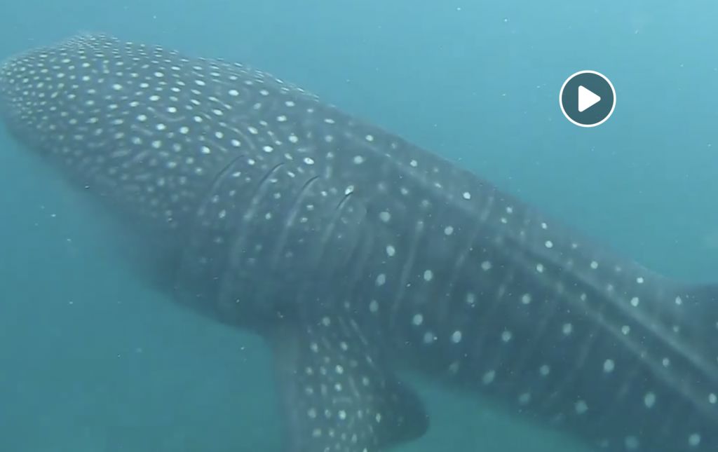 1b3352d5-4777-4cce-9567-e9eec8604c24