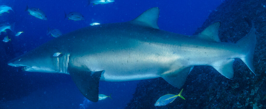 d507e349-738d-4965-8853-6170a59b2a9b