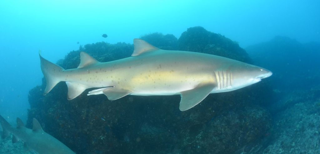 455c3b86-45a3-4291-be8e-02fc8ecf3cc4