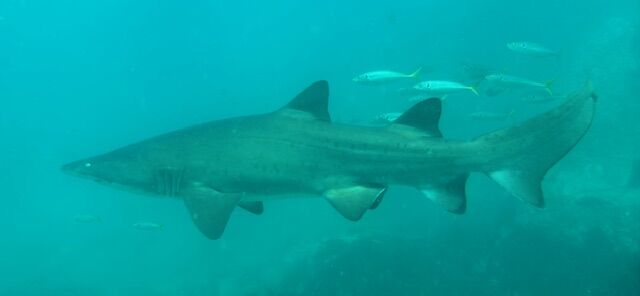 4fca5c20-8534-4001-a0ad-8e6f851b3aa7