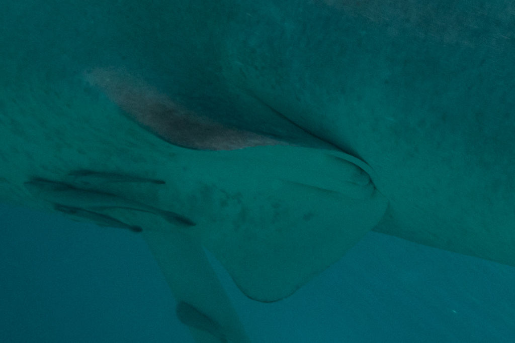 efe83984-3f6d-4c55-b354-2553e35824a4