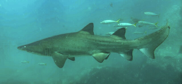 4fca5c20-8534-4001-a0ad-8e6f851b3aa7