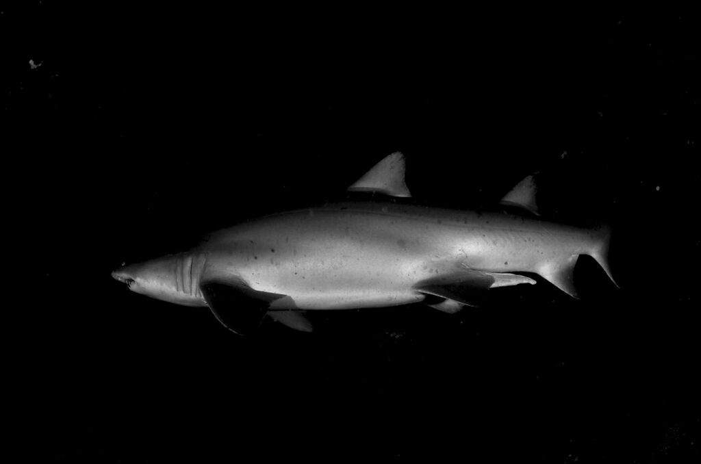 aebf13ee-5e07-4b7e-a37b-9fd630dbf1c7