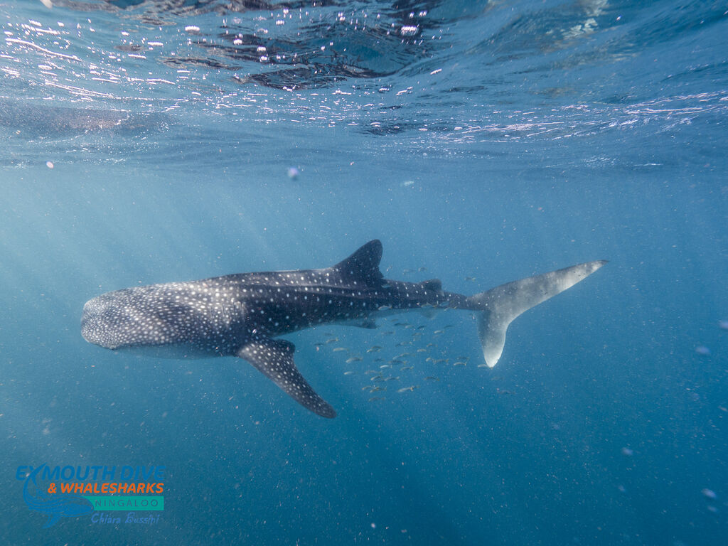 b9b7fd0b-05c9-4bdc-bb7c-362e17576fe6