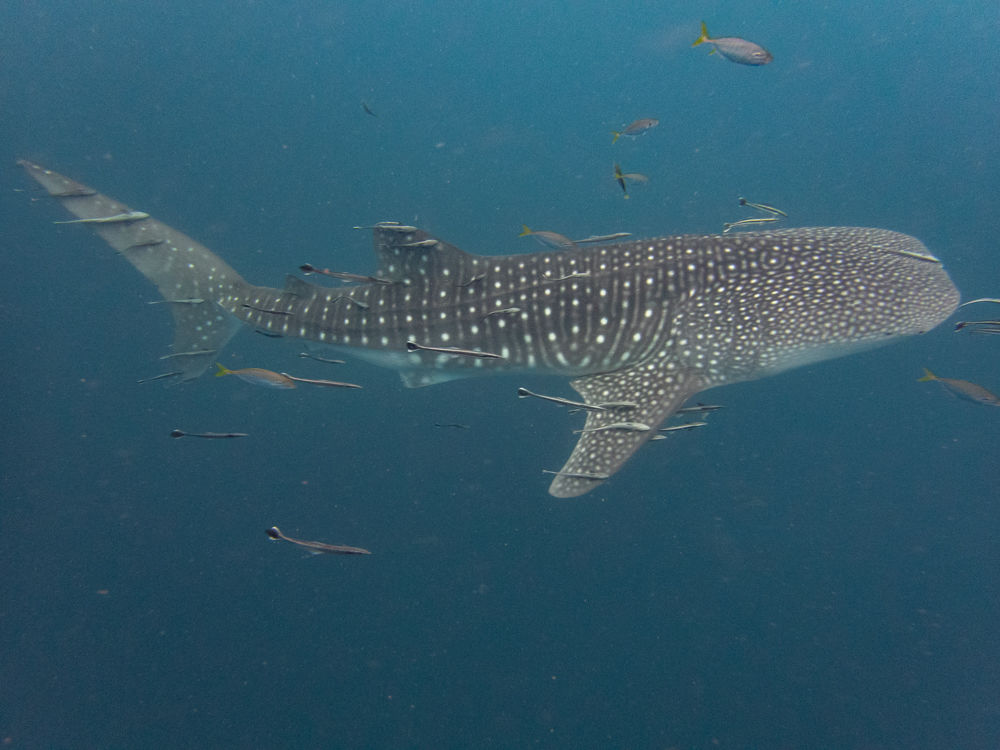 22860573-69cd-43e5-bfac-25bdbb9ebf8e