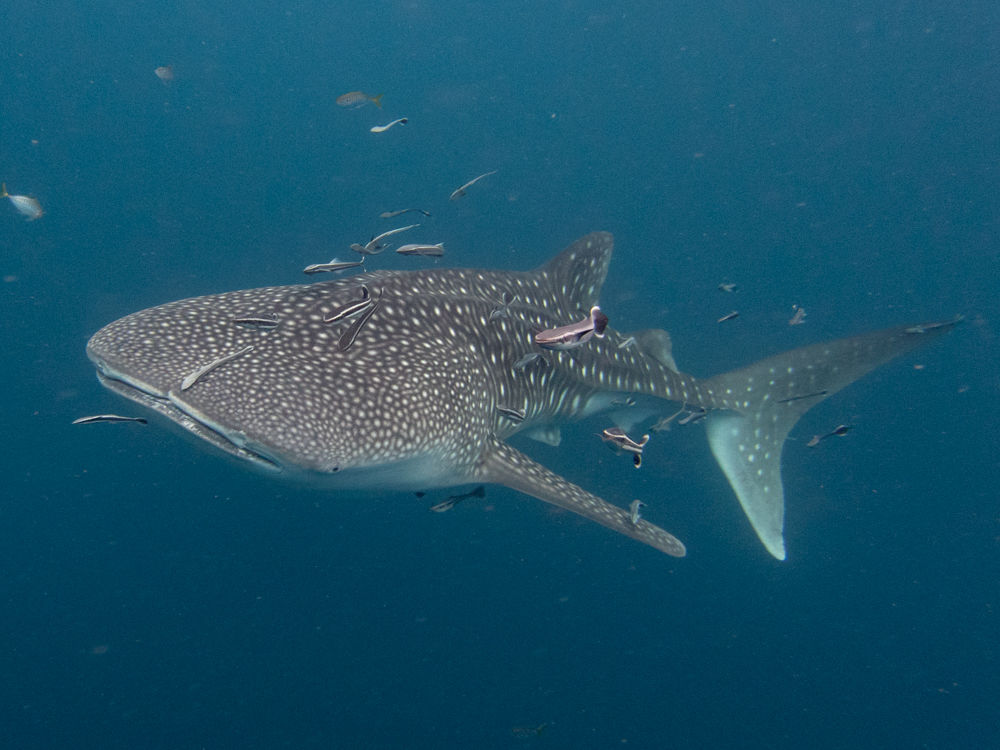 22860573-69cd-43e5-bfac-25bdbb9ebf8e