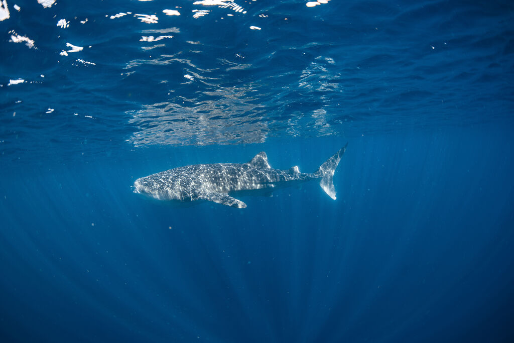 7be1872b-6723-4a02-8014-14e4a97ebd96