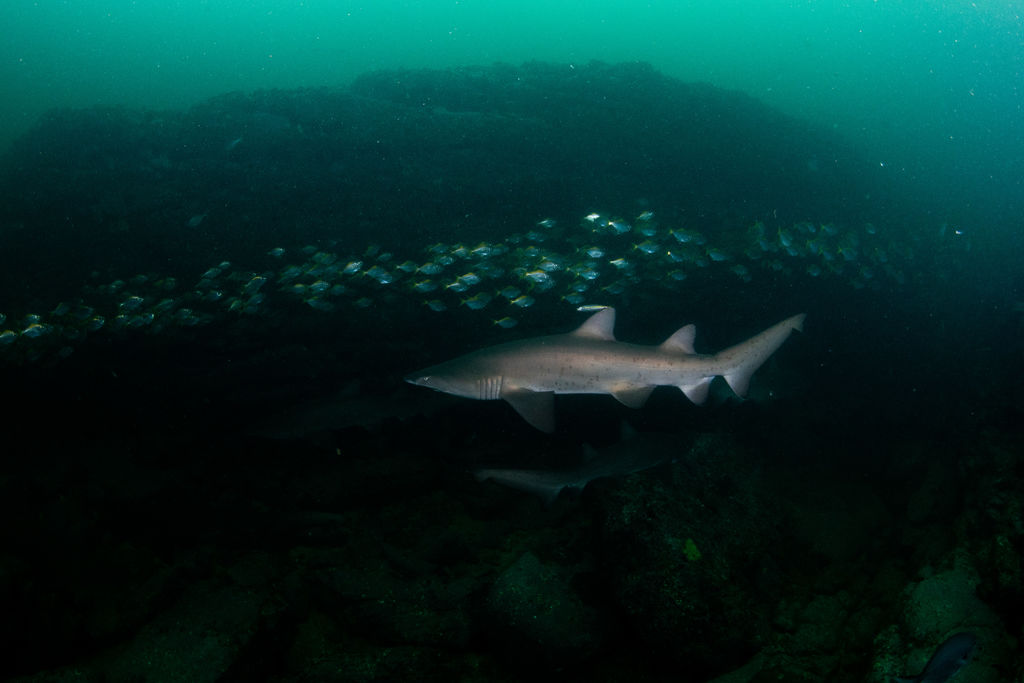 f0b2edd9-9598-4143-affd-1172d67ee54d