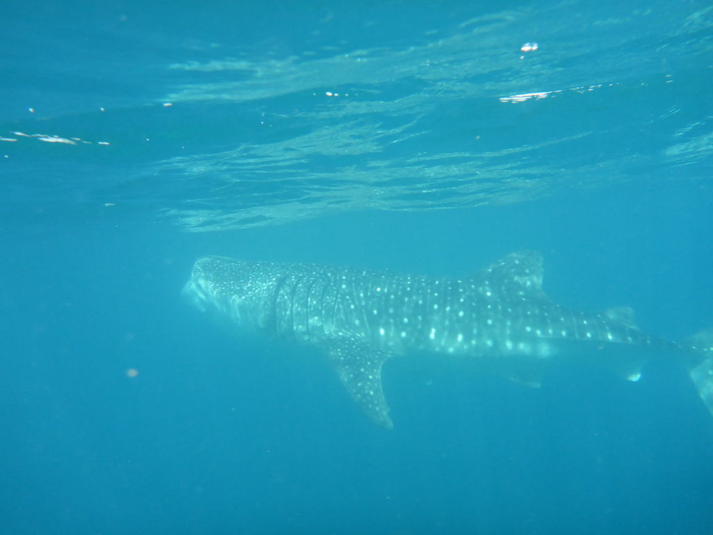 60d881ce-d142-4488-957f-4c7f9a471442