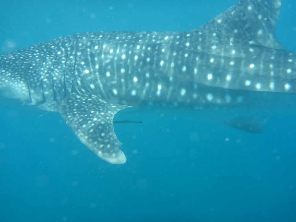 60d881ce-d142-4488-957f-4c7f9a471442