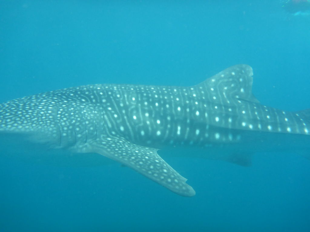 60d881ce-d142-4488-957f-4c7f9a471442