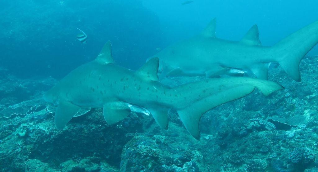 c4ffefaf-4cbb-4d88-9dd4-26b245b21813