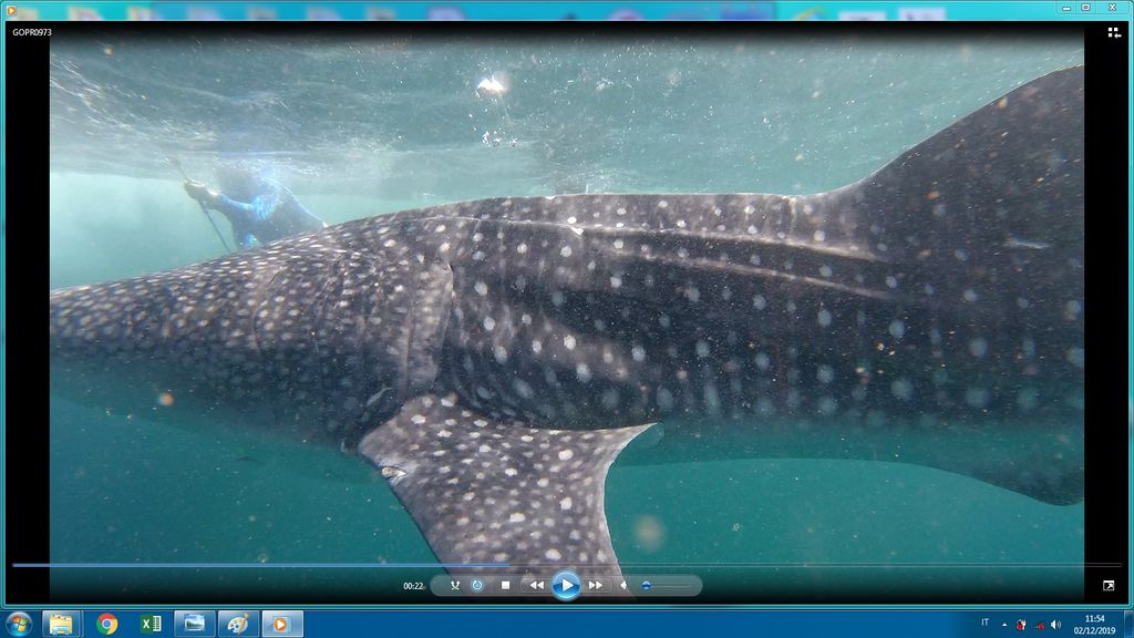 41c5f1d6-026e-45b3-9bd9-d0f8ba6ebbbf