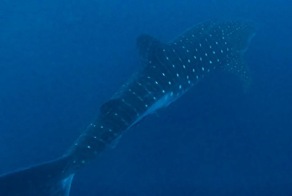 cd6b9fe3-771b-442d-bd7d-c94f8e6cb4df