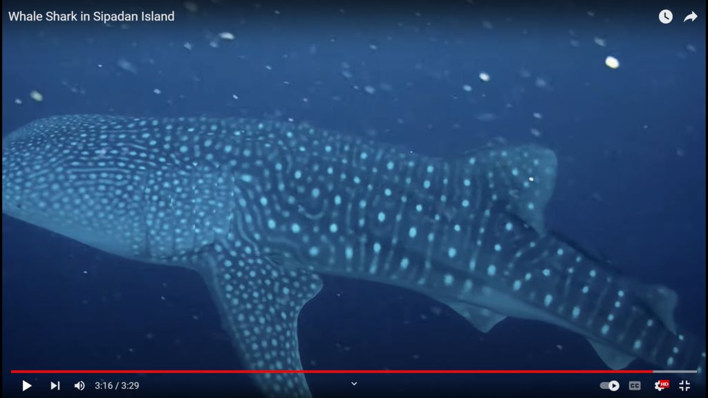 0da6bfe8-2467-469b-ac2d-595c7cb79e26