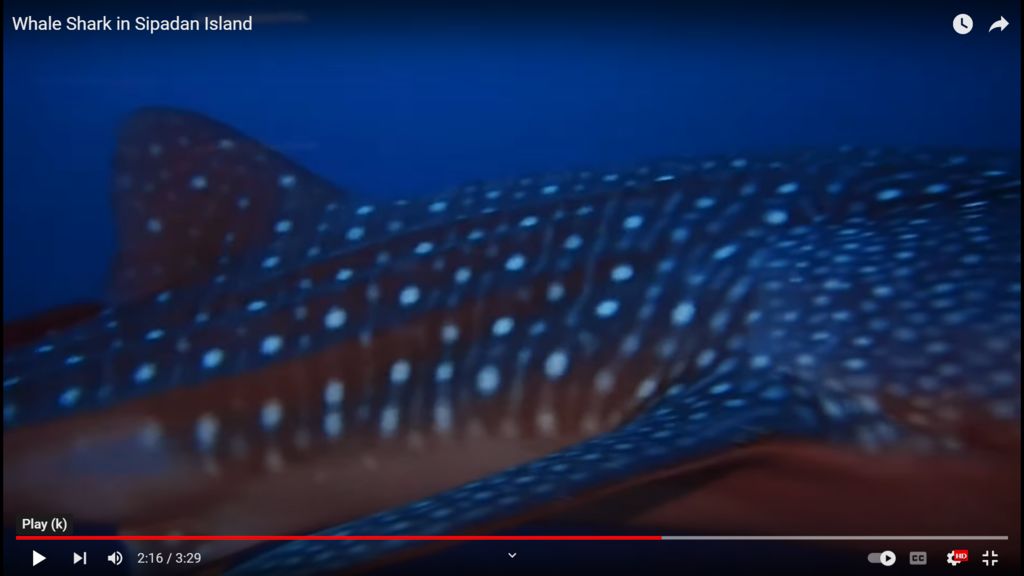 0da6bfe8-2467-469b-ac2d-595c7cb79e26