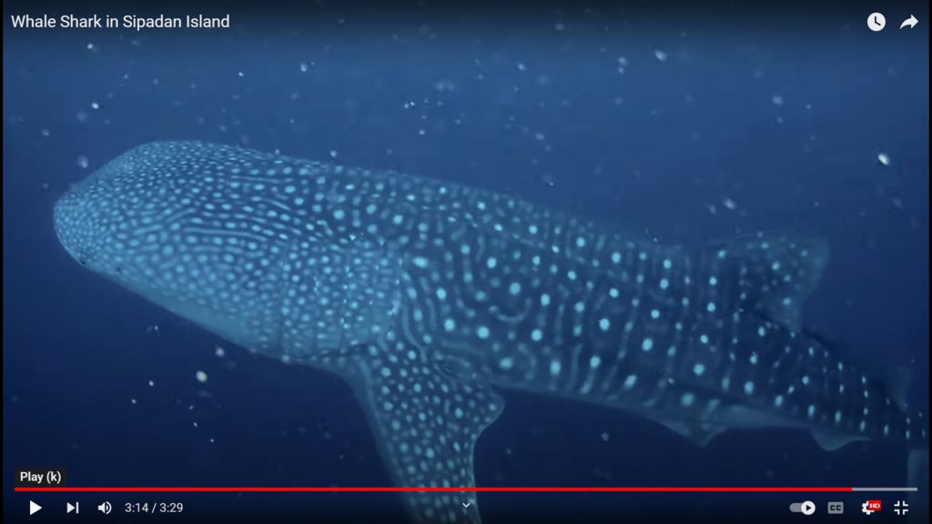 0da6bfe8-2467-469b-ac2d-595c7cb79e26